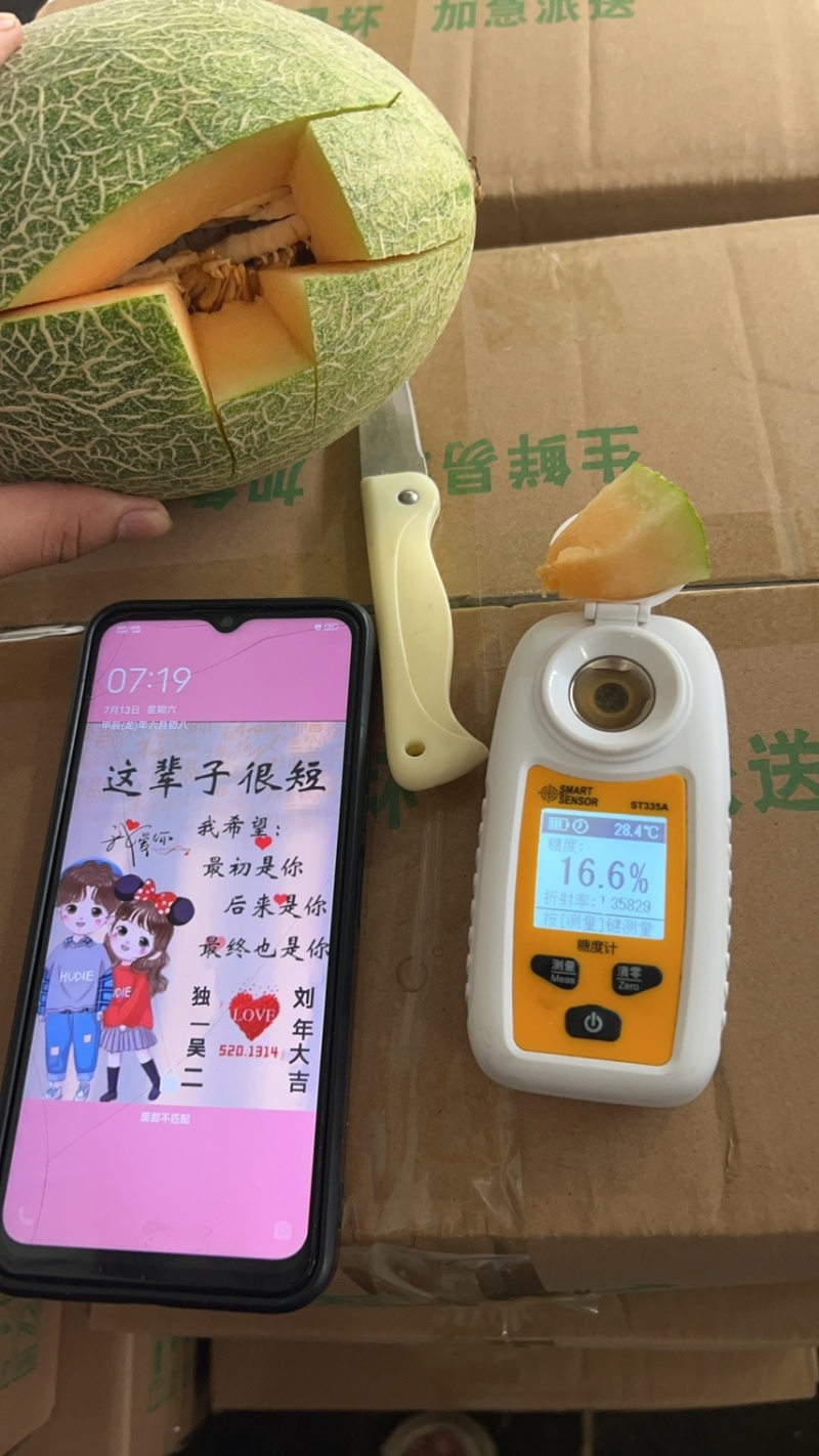 山东疆小蜜哈密瓜礼盒社区团购公司集采高端包装
