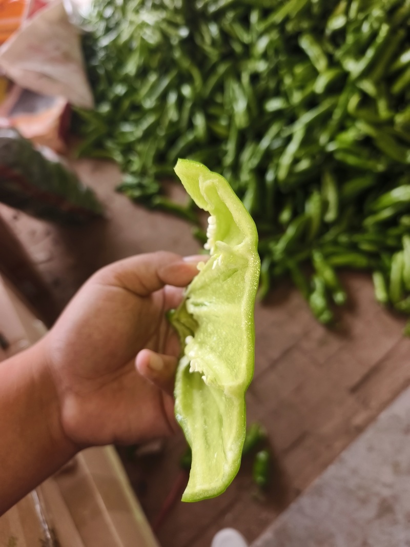牛角椒现大量上市，果长20-25大量有货，物流方便。