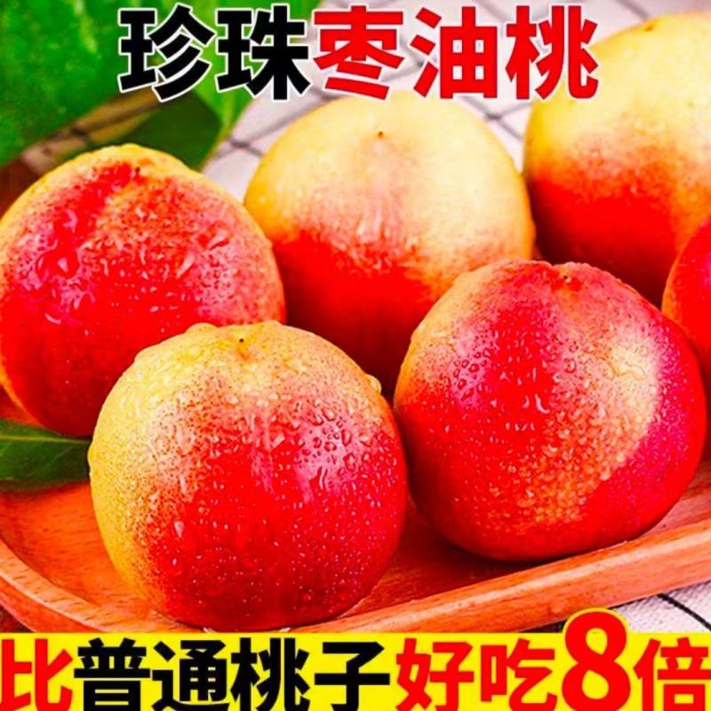 热卖中山东珍珠枣油桃离核油桃