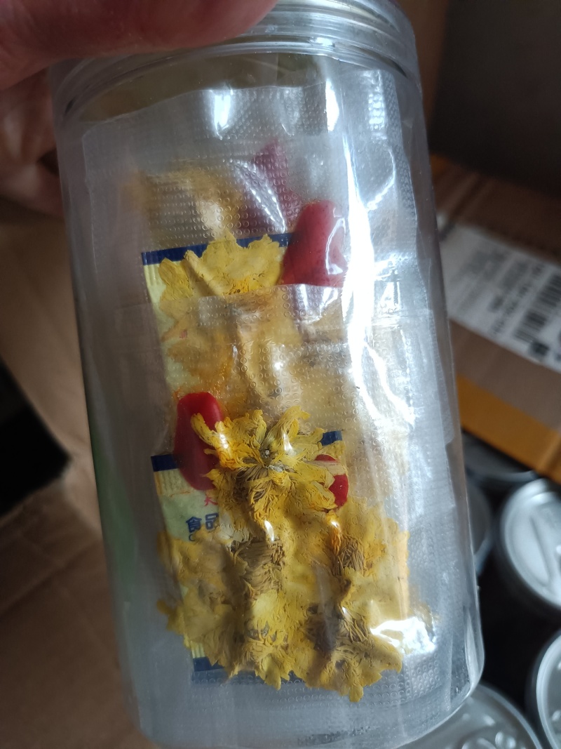 冰菊