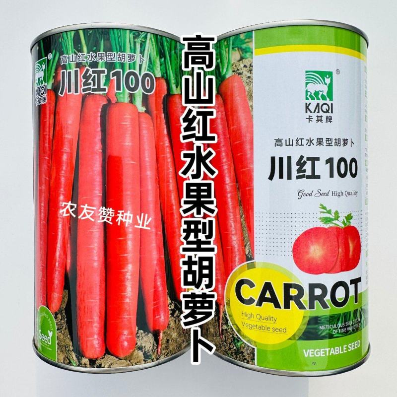 川红100胡萝卜种子水果型胡萝卜种籽七寸参胡萝卜籽秋季