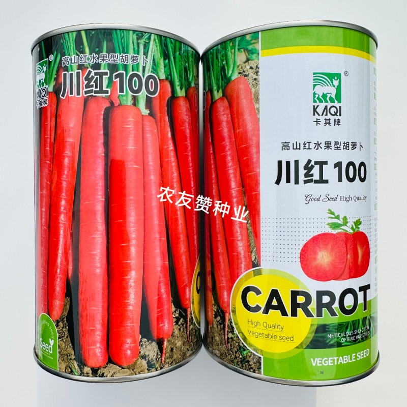 川红100胡萝卜种子水果型胡萝卜种籽七寸参胡萝卜籽秋季