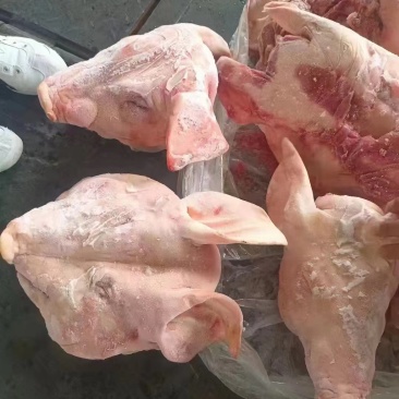 猪头，肥猪带耳猪头