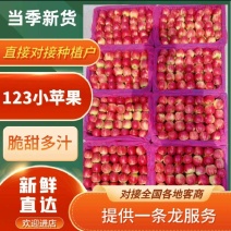 辽宁苹果123苹果大量供货一手货源支持代发全国市场
