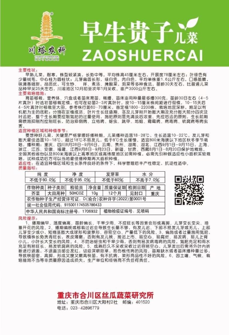 儿菜种子早生贵子早熟儿菜儿多又大早上市价格好