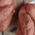 烟薯25