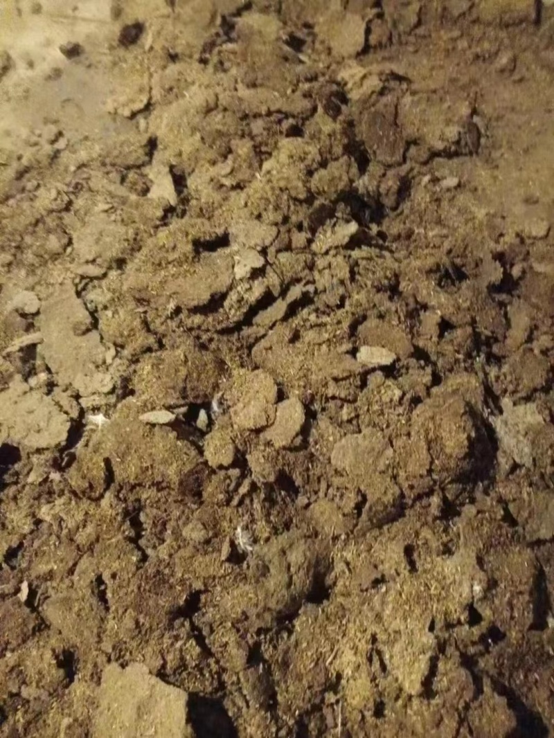 谷壳干鸡粪江西鸡禽畜有机肥对接各大果园基地老板