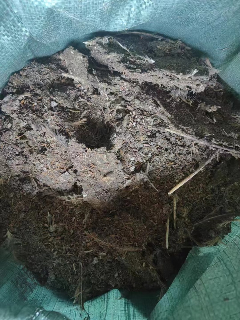谷壳干鸡粪江西鸡禽畜有机肥对接各大果园基地老板