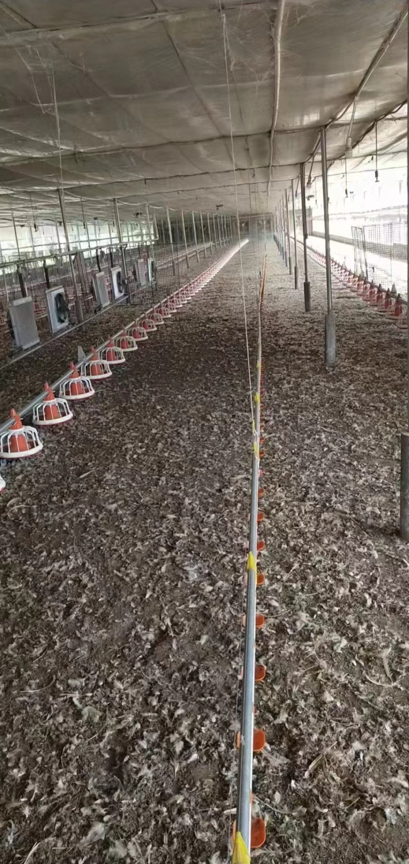 谷壳干鸡粪江西鸡禽畜有机肥对接各大果园基地老板
