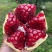 会理软籽石榴，大量供应，市场统货电商统货，商超货，
