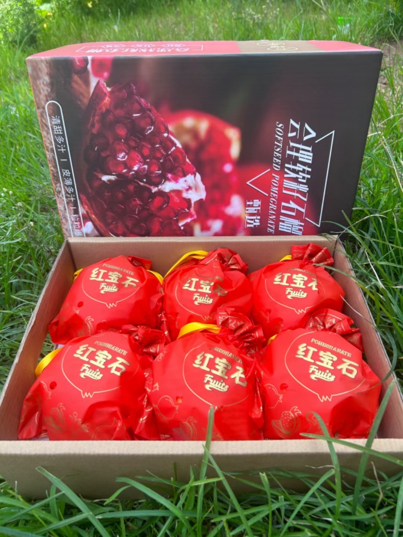 会理软籽石榴，大量供应，市场统货电商统货，商超货，