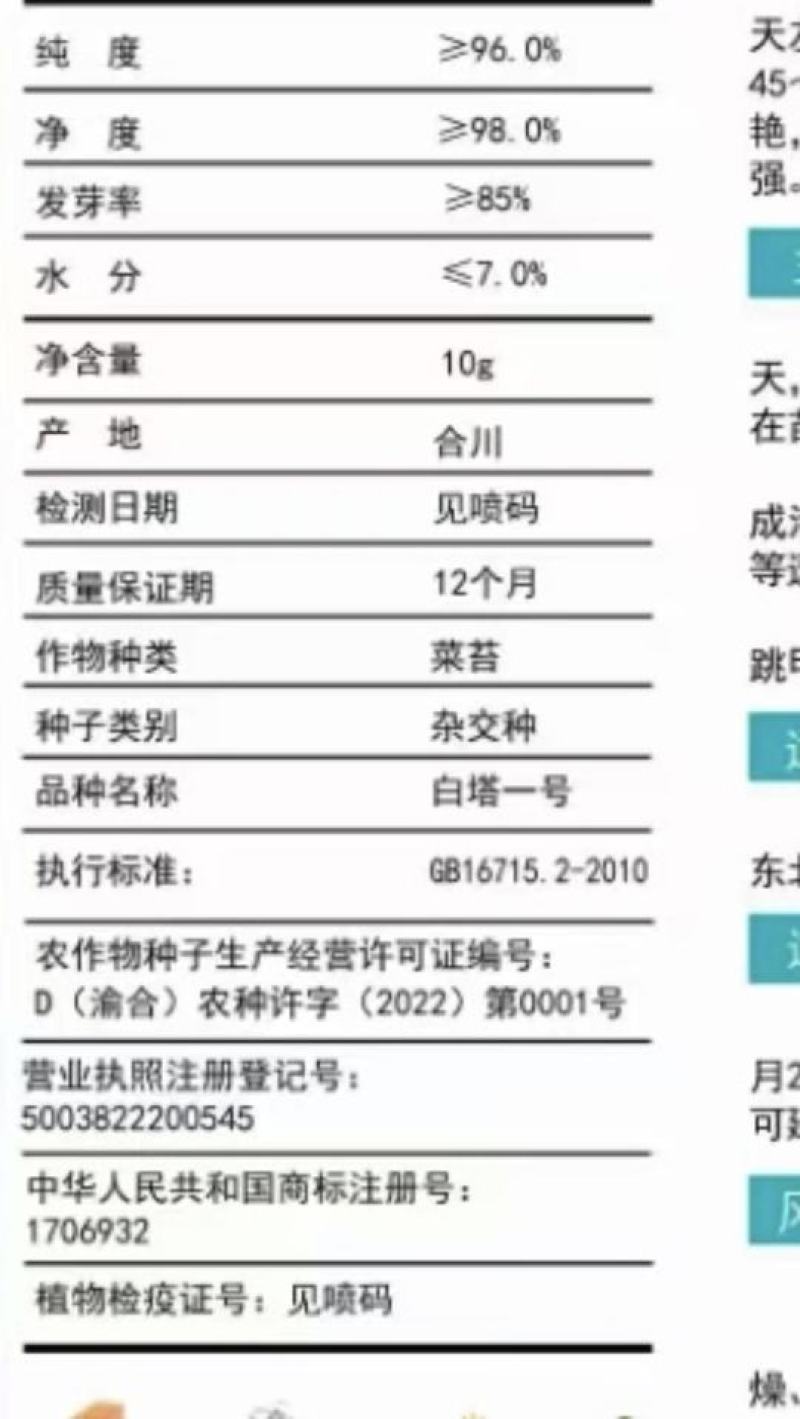 菜苔种子白塔一号早熟45天耐热耐湿苔色白绿丰产抗病