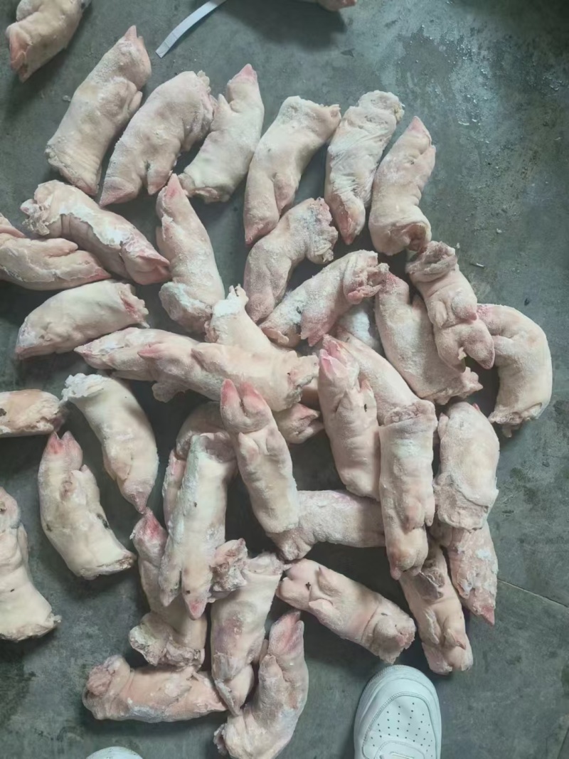 肥猪碎肉到三七低出新货灌肠三七冷冻猪碎肉