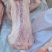 肥猪碎肉到三七低出新货灌肠三七冷冻猪碎肉