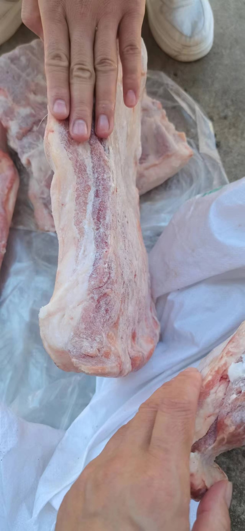 肥猪碎肉到三七低出新货灌肠三七冷冻猪碎肉