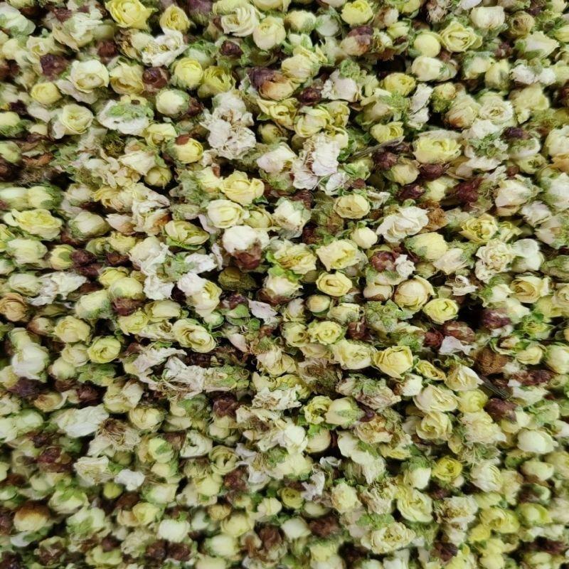 绿梅花白梅花绿萼梅茶中药材白梅花