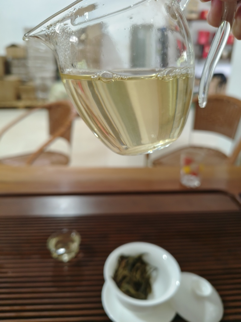 普洱生普茶古树黄金叶生茶香甜回甘生津好喝
