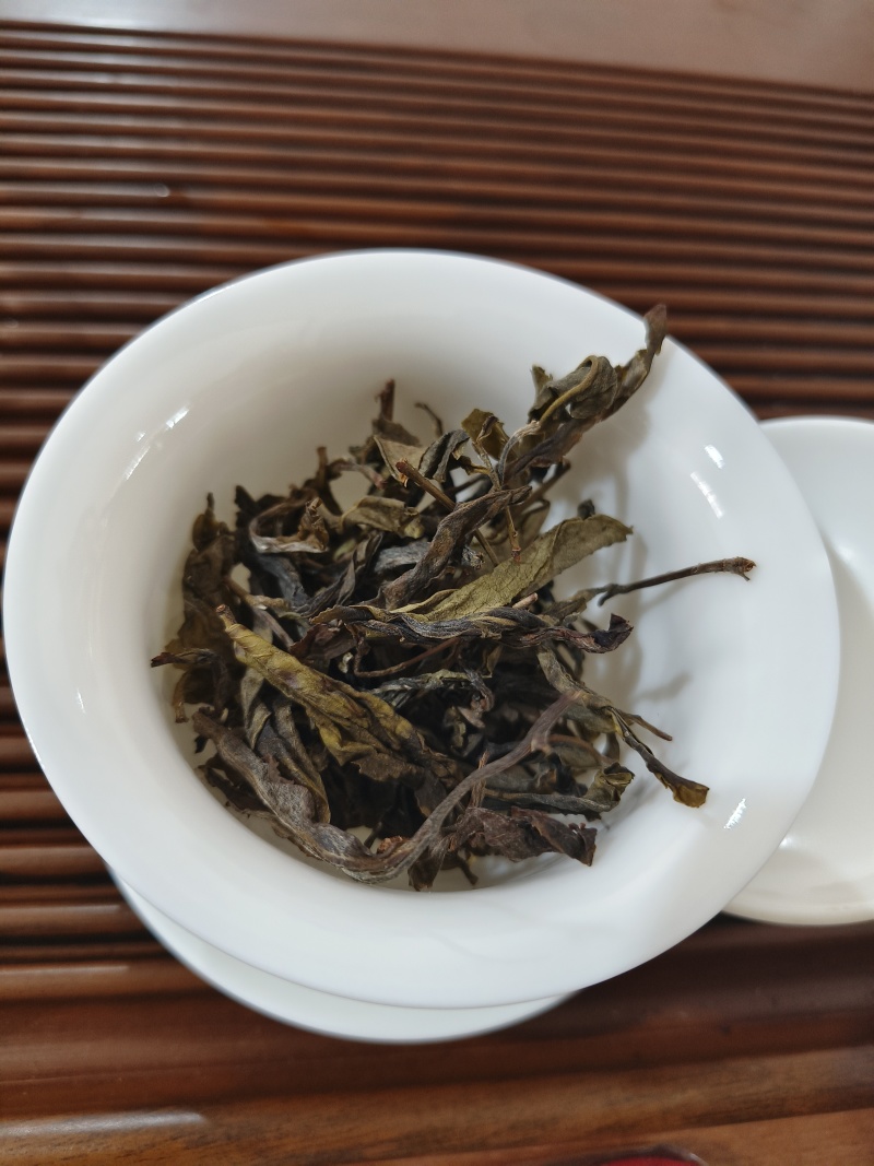 普洱生普茶古树黄金叶生茶香甜回甘生津好喝
