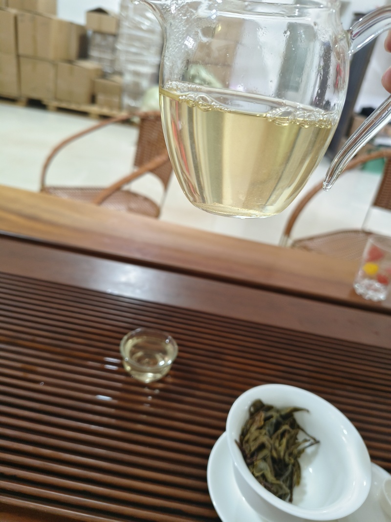 普洱生普茶古树黄金叶生茶香甜回甘生津好喝