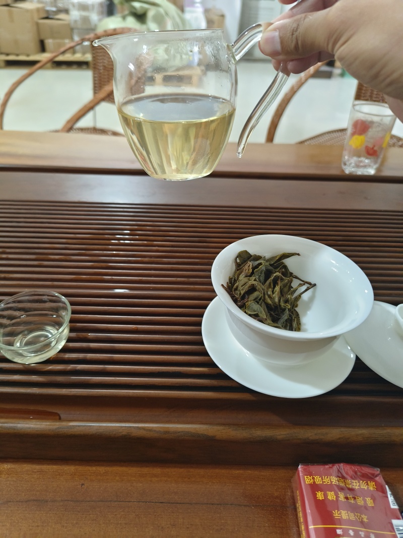 普洱生普茶古树黄金叶生茶香甜回甘生津好喝