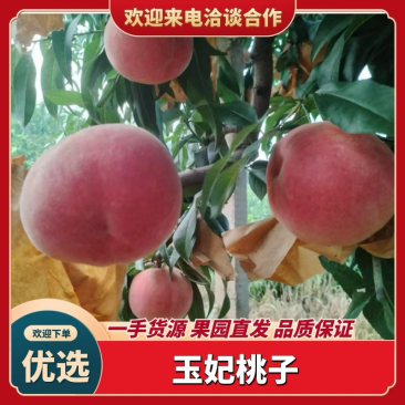 山东精选玉妃毛桃自家种植口感鲜美可礼品包装诚信经营