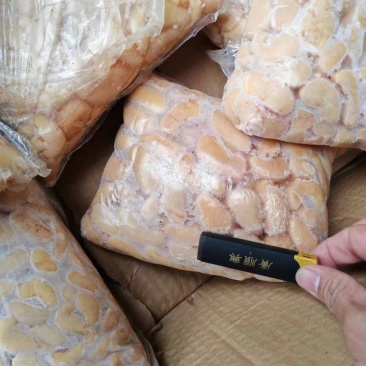 公鸡腰花腰子小腰种鸡腰