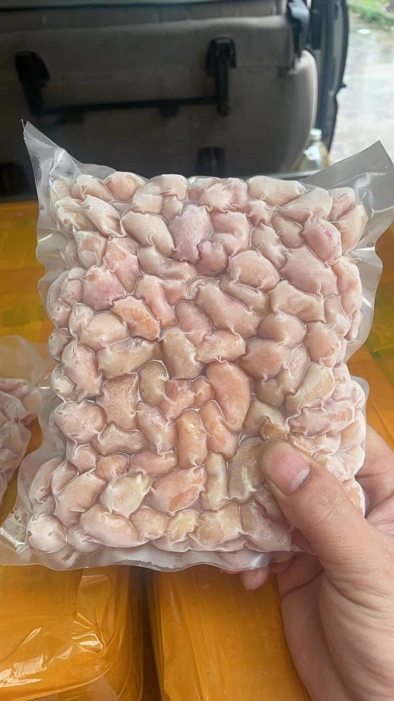 公鸡腰花腰子小腰种鸡腰
