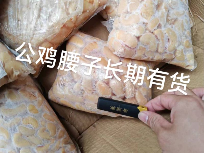 公鸡腰花腰子小腰种鸡腰