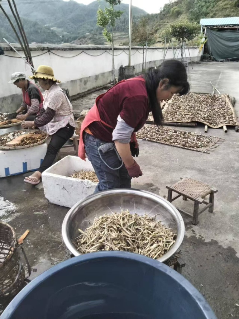 云南保山制黑附子片诚信经营可以全国发货