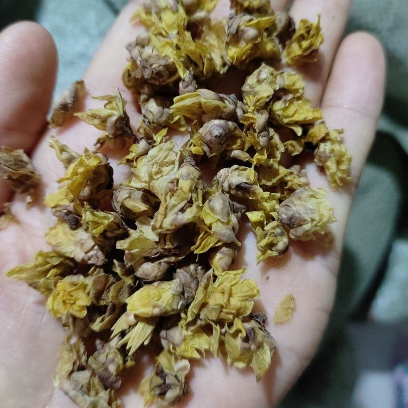 腊梅花