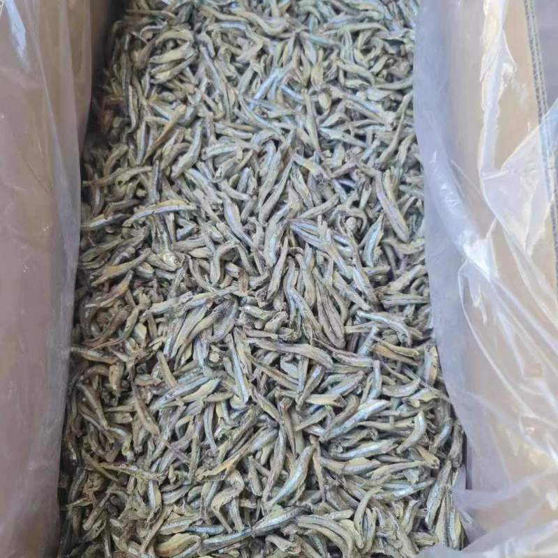 小公鱼长期有货
