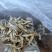 小公鱼长期有货