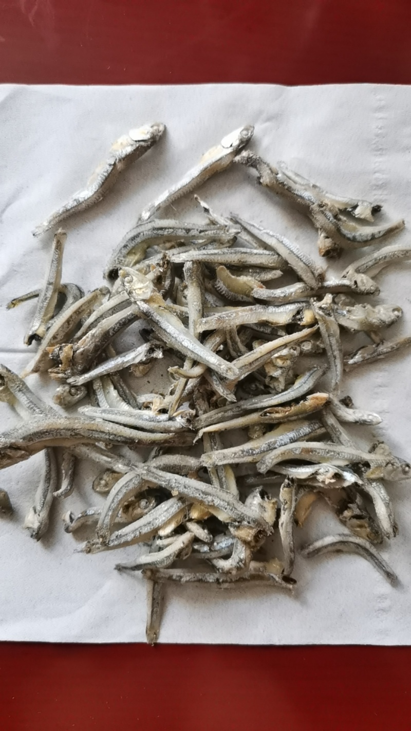 小公鱼长期有货
