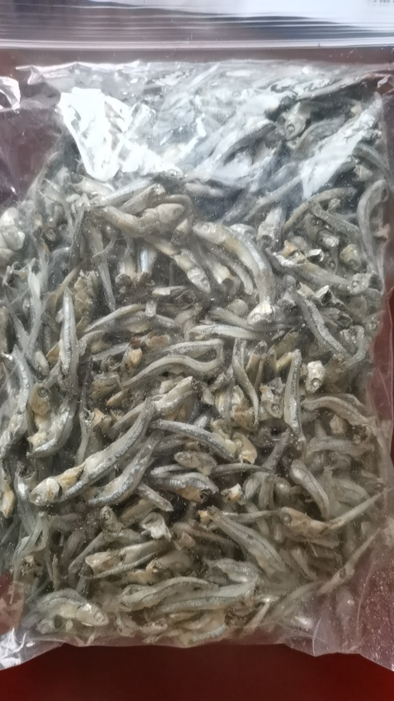 小公鱼长期有货
