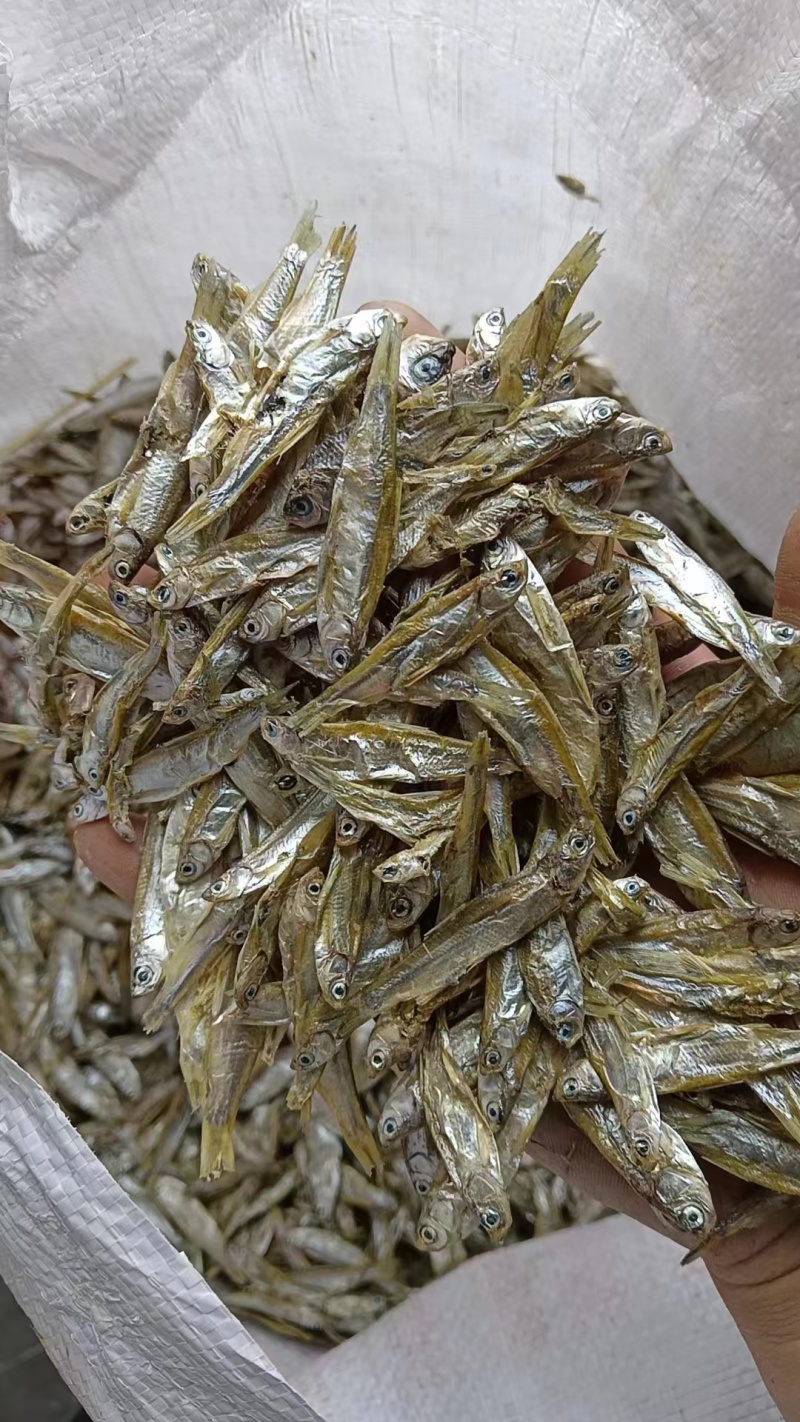 小公鱼长期有货