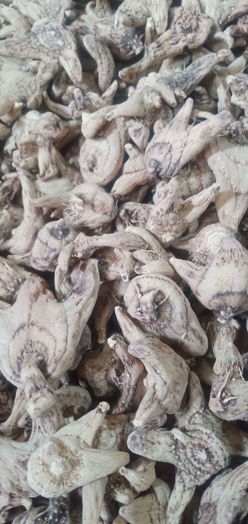 需要干白芨的老板看过来