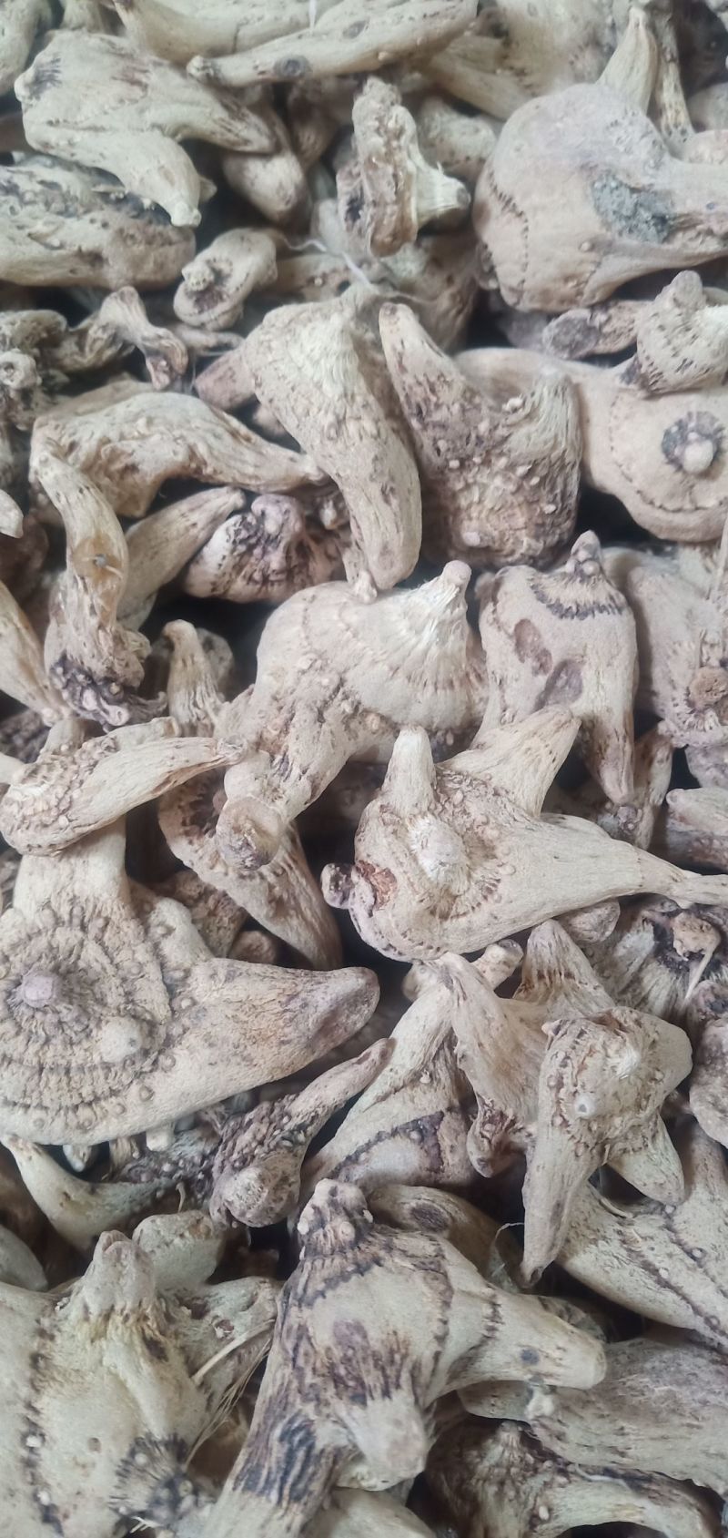 需要干白芨的老板看过来