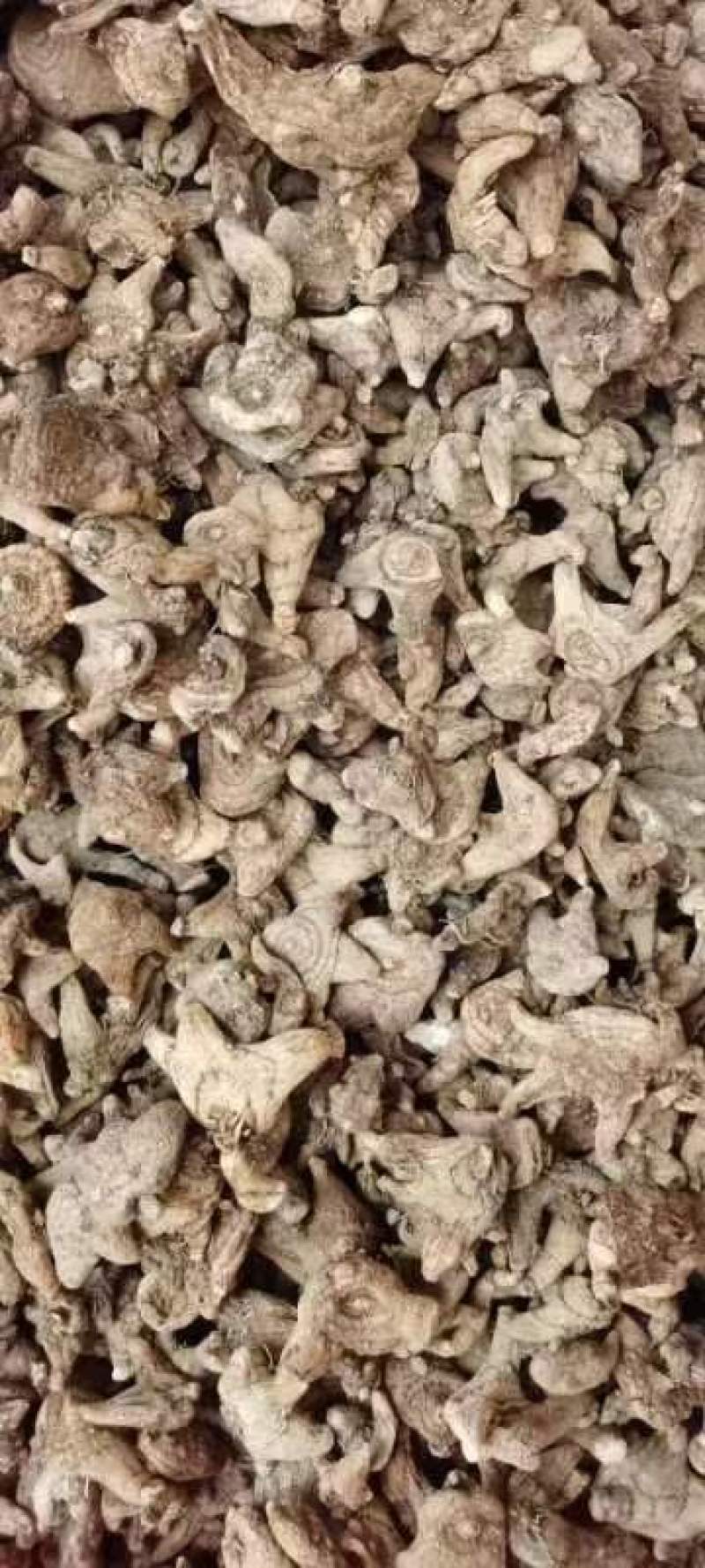 需要干白芨的老板看过来