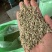 小茴香国产进口统绿特绿一手货源香辛料调料卤料干货批发零售