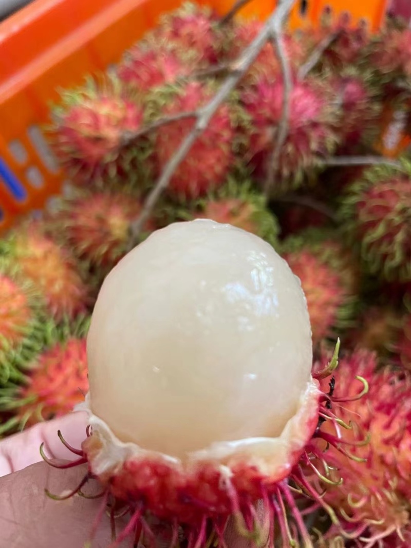 海南保亭红毛丹产地代办供应全国批发市场社区团购
