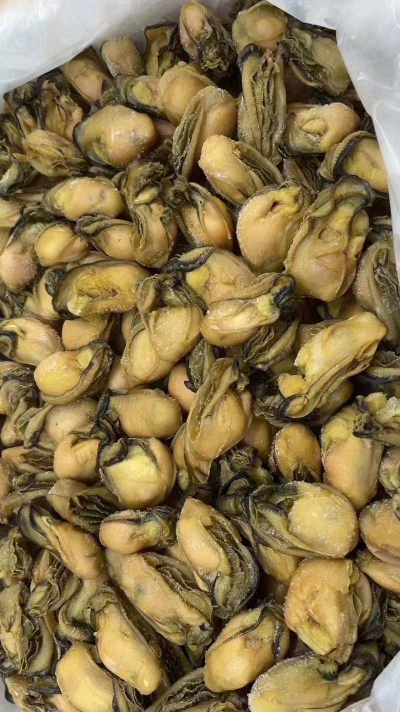 生蚝干蚝士大金蚝干不抽油厂家直供有量批发零售