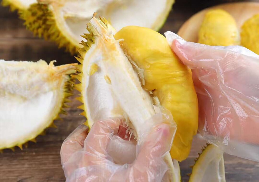 一位戴着手套的手正在小心地用手掰开一颗已经划开缝隙的金枕榴莲外壳,露出内部乳黄色的果肉,果肉完整未破损,周围散落着几颗去壳的果肉块,桌面上铺有白色纸巾,背景为现代厨房操作台,左侧放有一把不锈钢刀具 家庭厨房场景中正在剥开金枕榴莲的过程