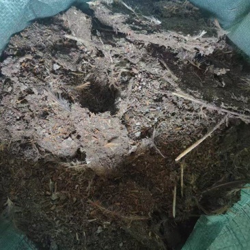 优质鸡粪谷壳鸡粪大量供应对接各大果园种植基地老板