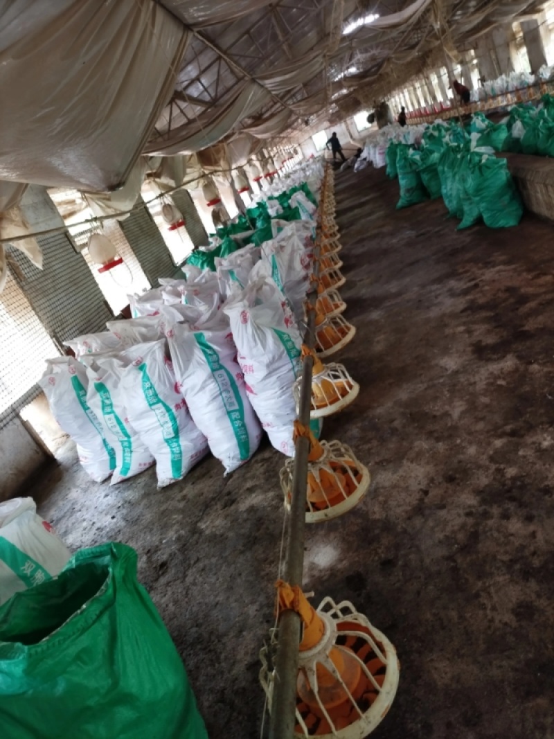 优质鸡粪谷壳鸡粪大量供应对接各大果园种植基地老板