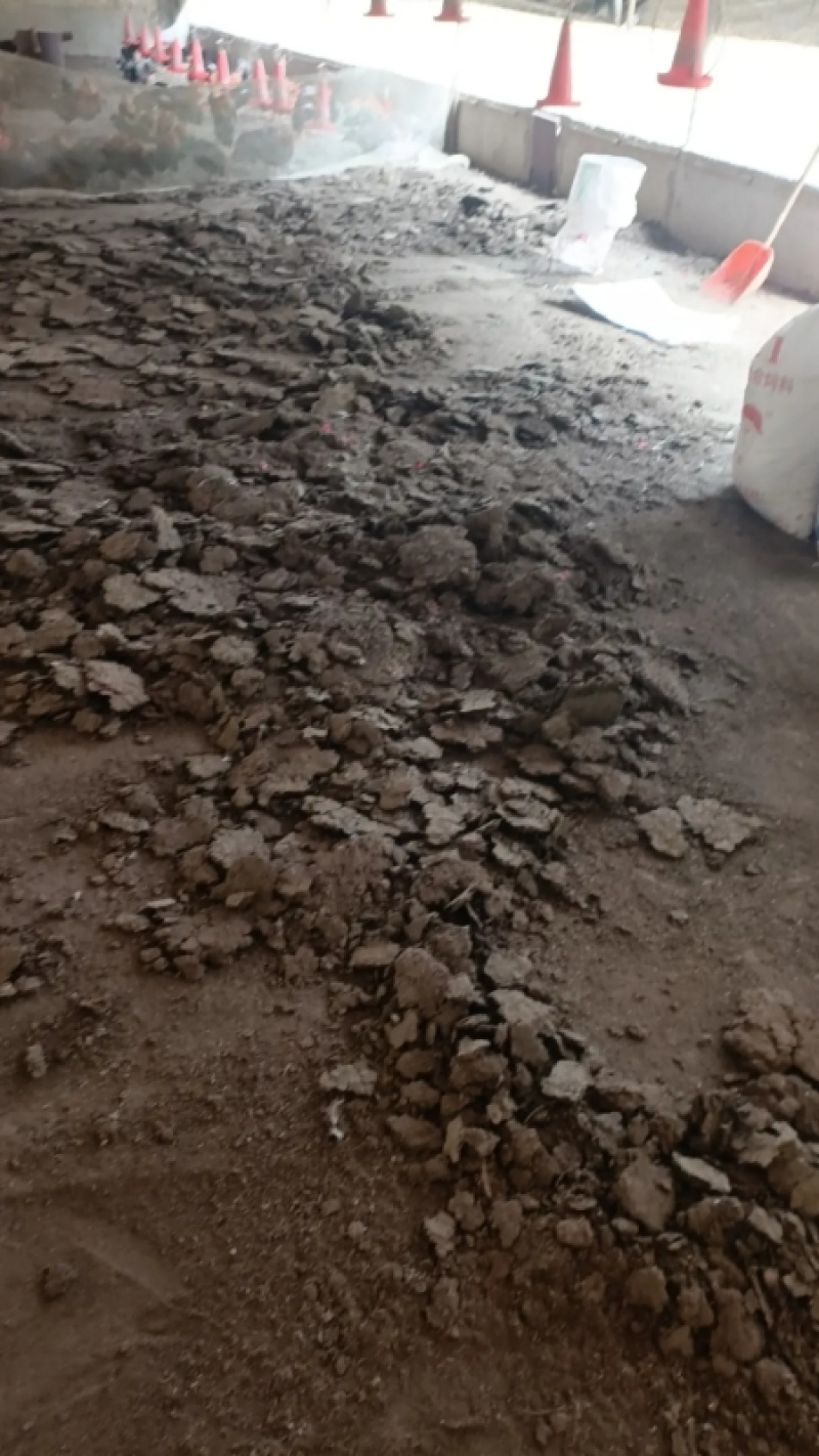 优质鸡粪谷壳鸡粪大量供应对接各大果园种植基地老板