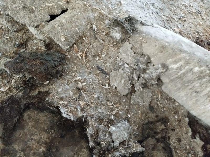 优质鸡粪谷壳鸡粪大量供应对接各大果园种植基地老板
