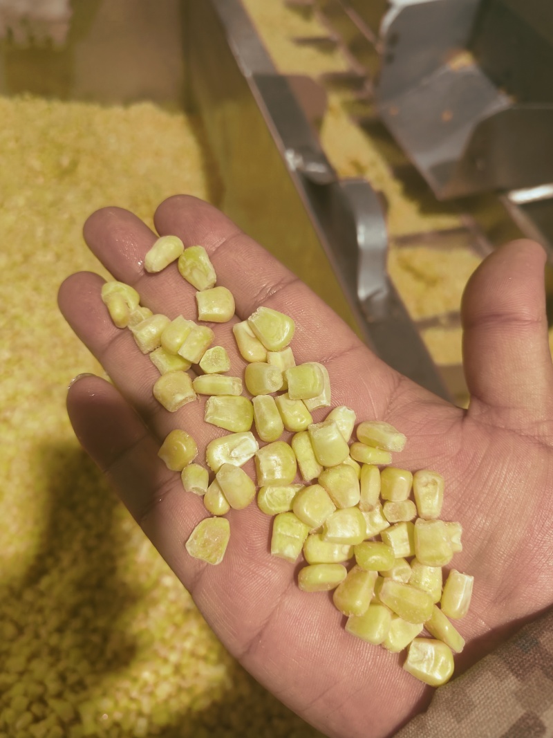 冷冻水果玉米粒903