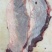 罗肌肉，厚裙肉，护心肉，纯干货，厂家直销