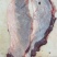 罗肌肉，厚裙肉，护心肉，纯干货，厂家直销