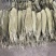 干粽叶批发厂家供货一件也是批发价，粽叶柔软度好